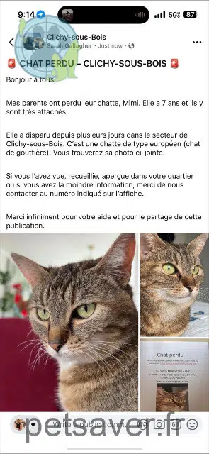 gata lost 93390 Clichy-sous-Bois Mimichat
