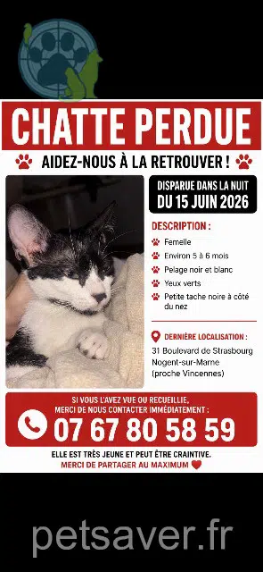 gatta lost   94130 Nogent-sur-Marne Nala