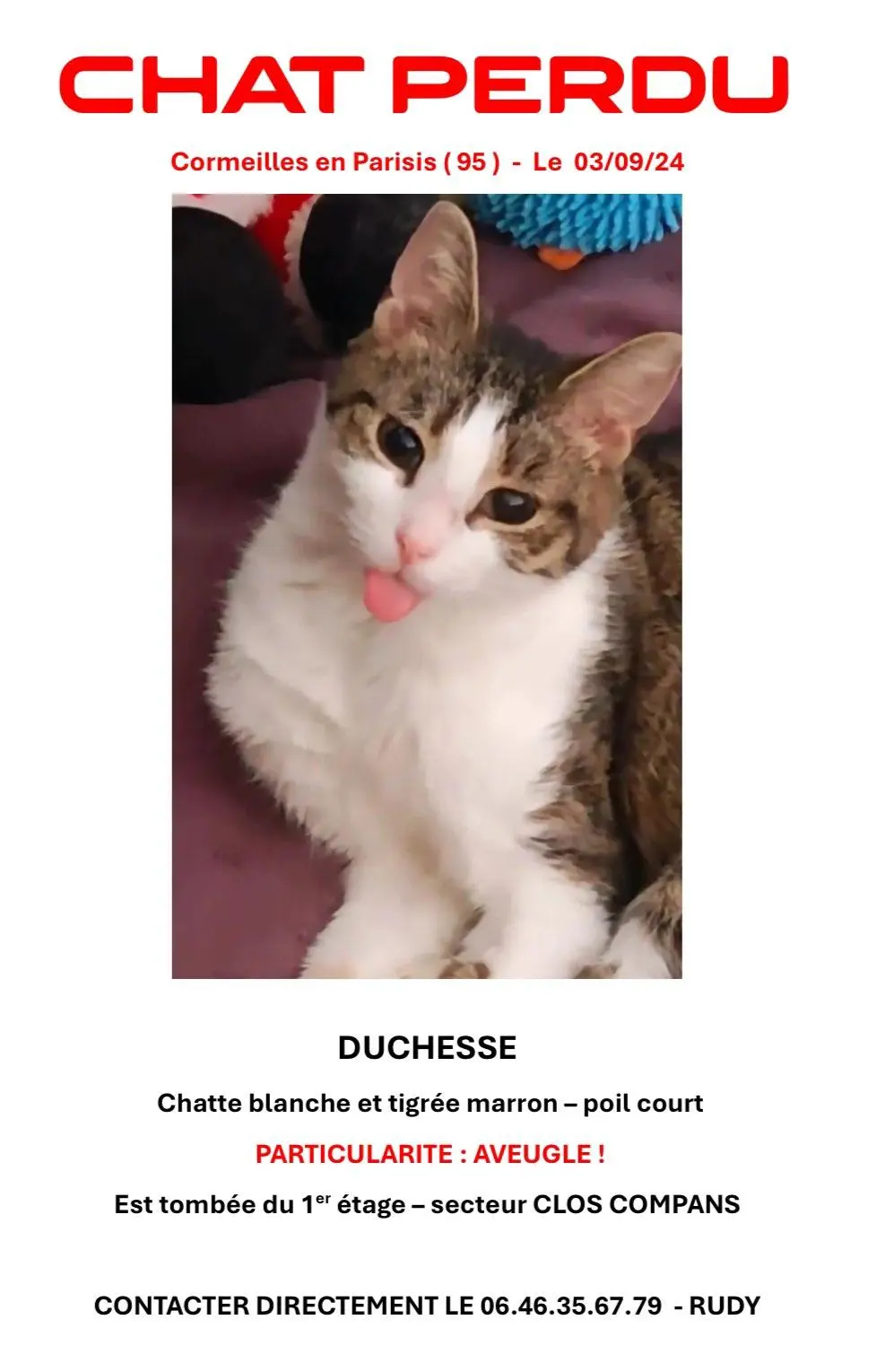 Chatte Perdue 95 Val-d'Oise Chatte Perdue 95 Val-d'Oise