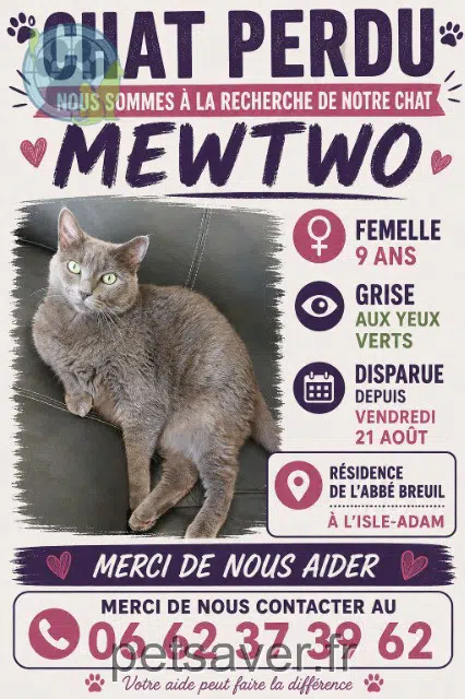 chatte lost 95290 L'Isle-Adam Mewtwo