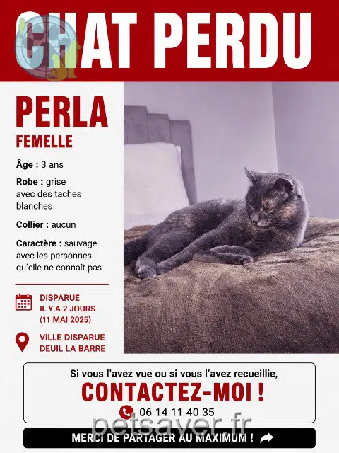 kat lost   95170 Deuil-la-Barre Perla