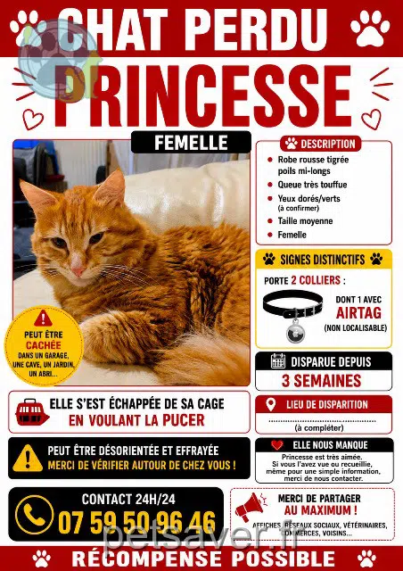 chatte lost 95130 Franconville Princesse