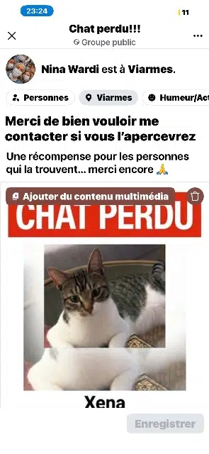 chatte lost   95270 Viarmes Xena
