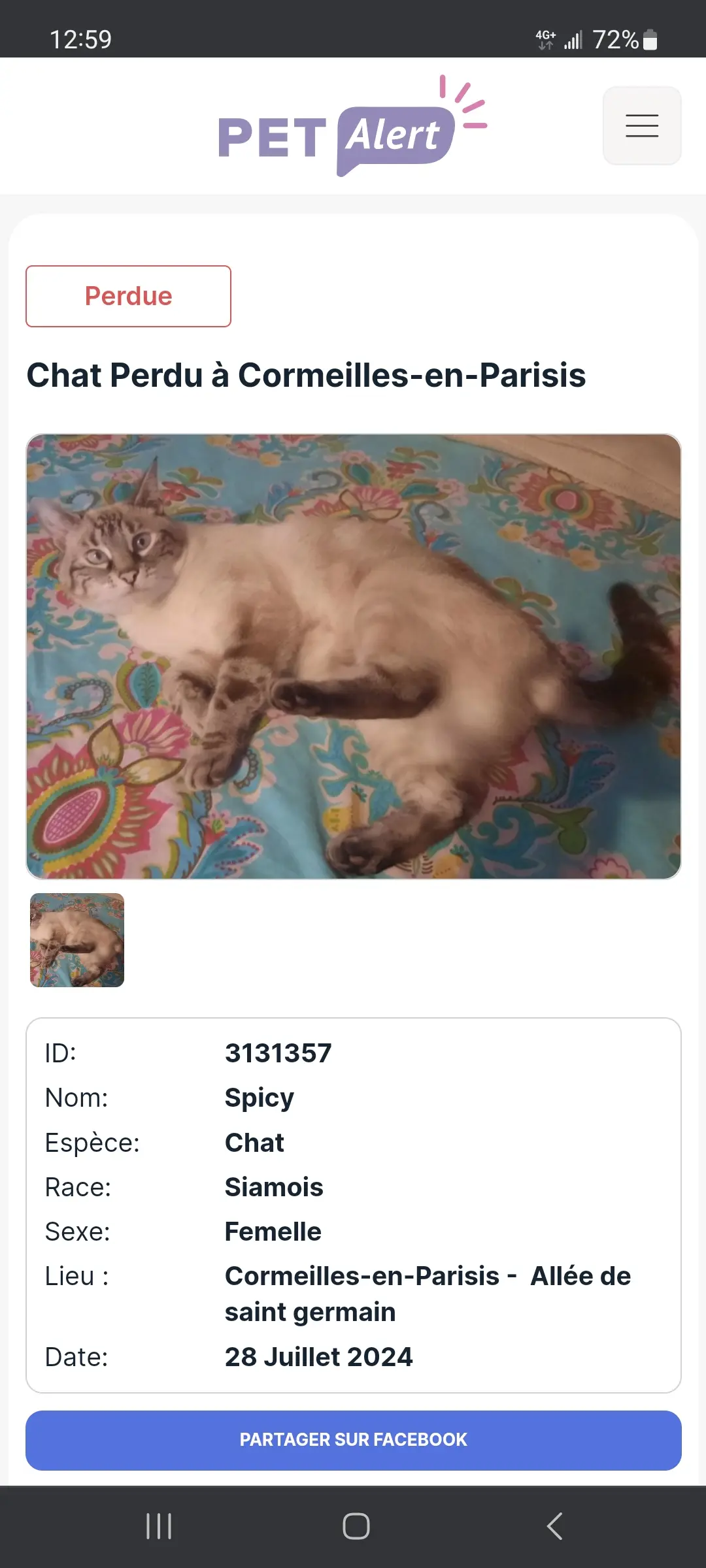 Chatte Perdue 95 Val-d'Oise Chatte Perdue 95 Val-d'Oise