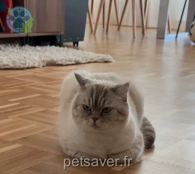 gata lost   4123 Allschwil Perle