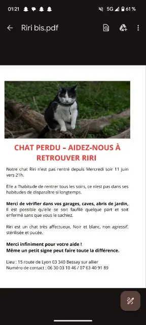 chatte reunited   03340 Bessay-sur-Allier Rielle