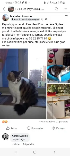 chatte reunited   04310 Peyruis Zitoune