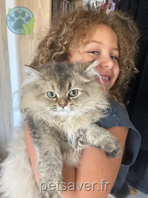 chatte reunited Nice Nala