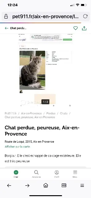 chatte reunited    Aix-en-Provence Tahaa