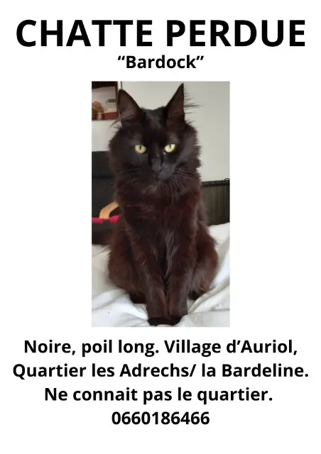 chatte reunited   13390 Auriol Bardock