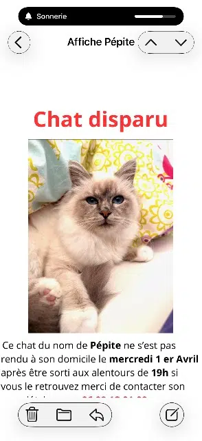 chatte reunited    Marseille Pepite