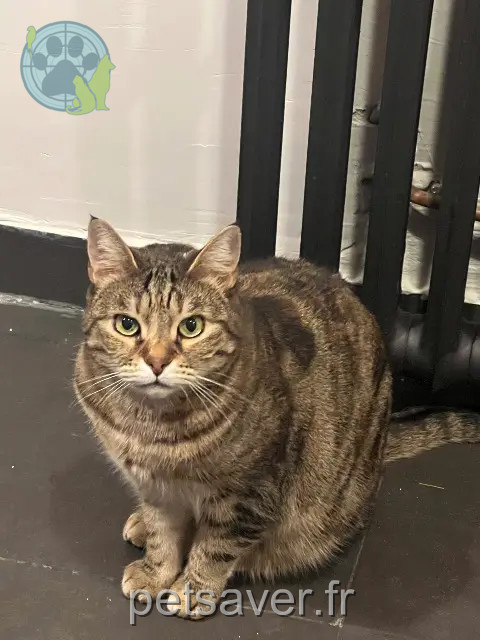 kat reunited 13330 Pélissanne Prune