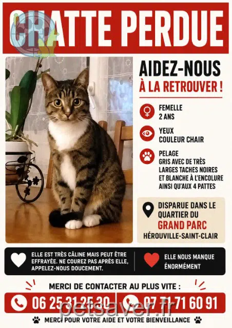gatta reunited 14200 Hérouville-Saint-Clair Lola
