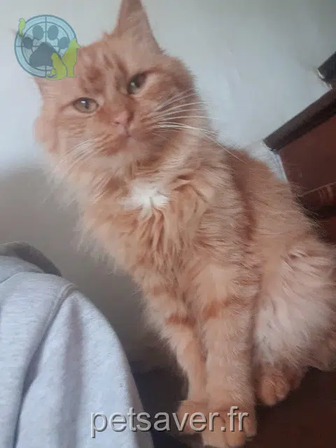 chatte reunited   17130 Montendre Channel