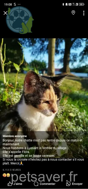 chatte reunited 17430 Lussant Flora