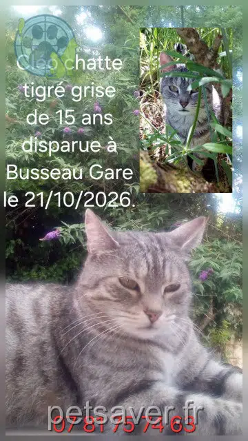 chatte reunited 23150 Ahun Cléo