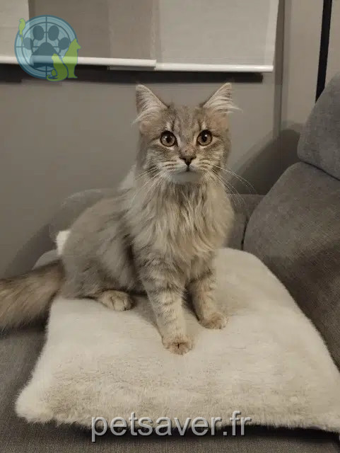 kat reunited 25000 Besançon Siggy