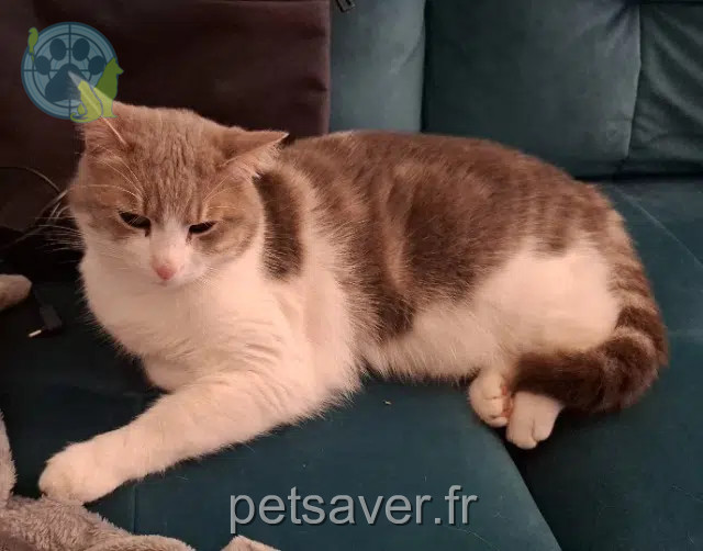 gata reunited   26000 Valence Bulle
