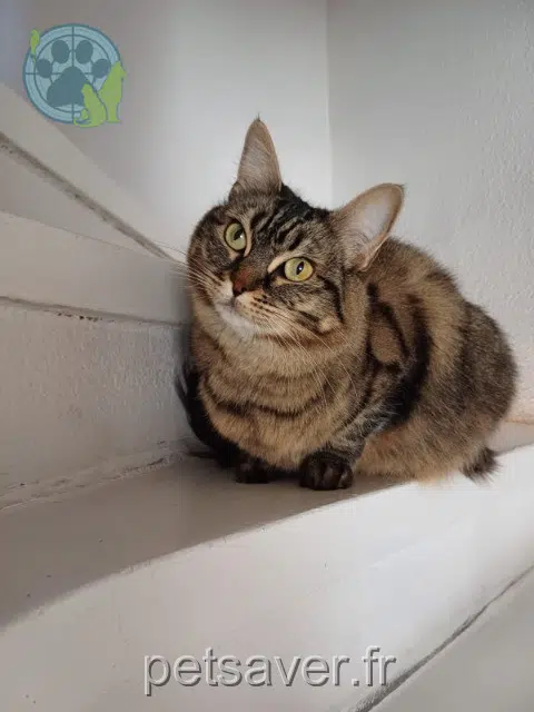 chatte reunited   26000 Valence Titoune