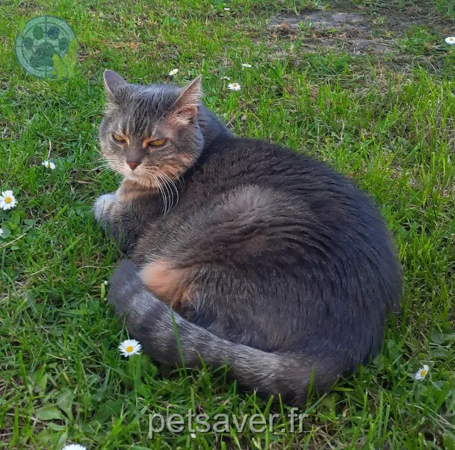 kat reunited   27950 Saint-Marcel Mona