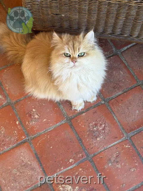 kat reunited   28130 Saint-Martin-de-Nigelles Simone