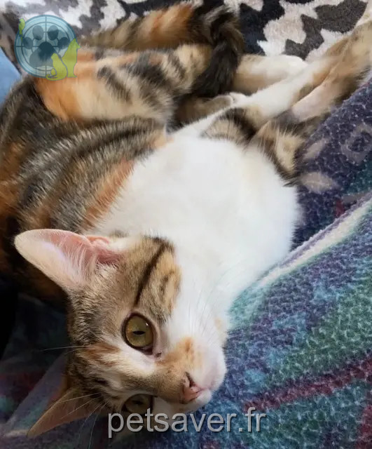 chatte reunited 28500 Ouerre Tily