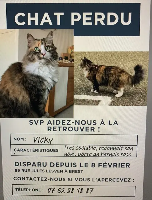 chatte reunited   29200 Brest Vicky