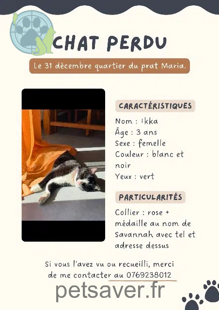 chatte reunited 29000 Quimper Ikka
