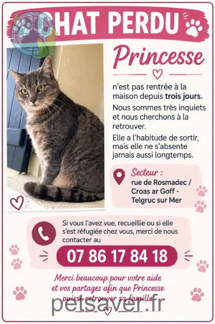 chatte reunited 29560 Telgruc-sur-Mer Princesse