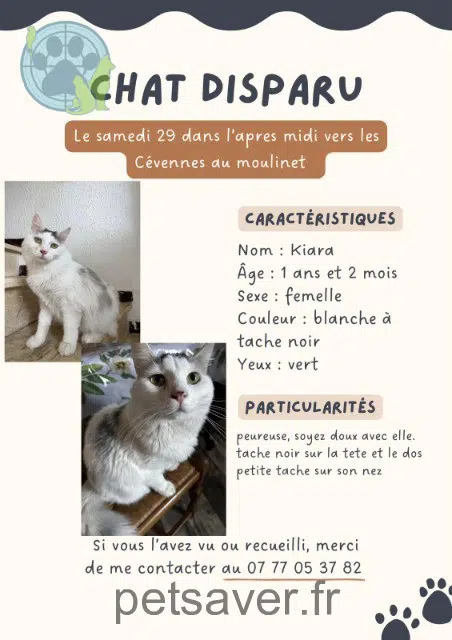 chatte reunited   30100 Alès Kiara