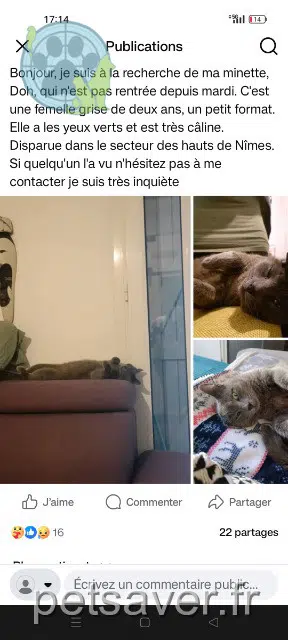 chatte reunited    Nîmes Doh