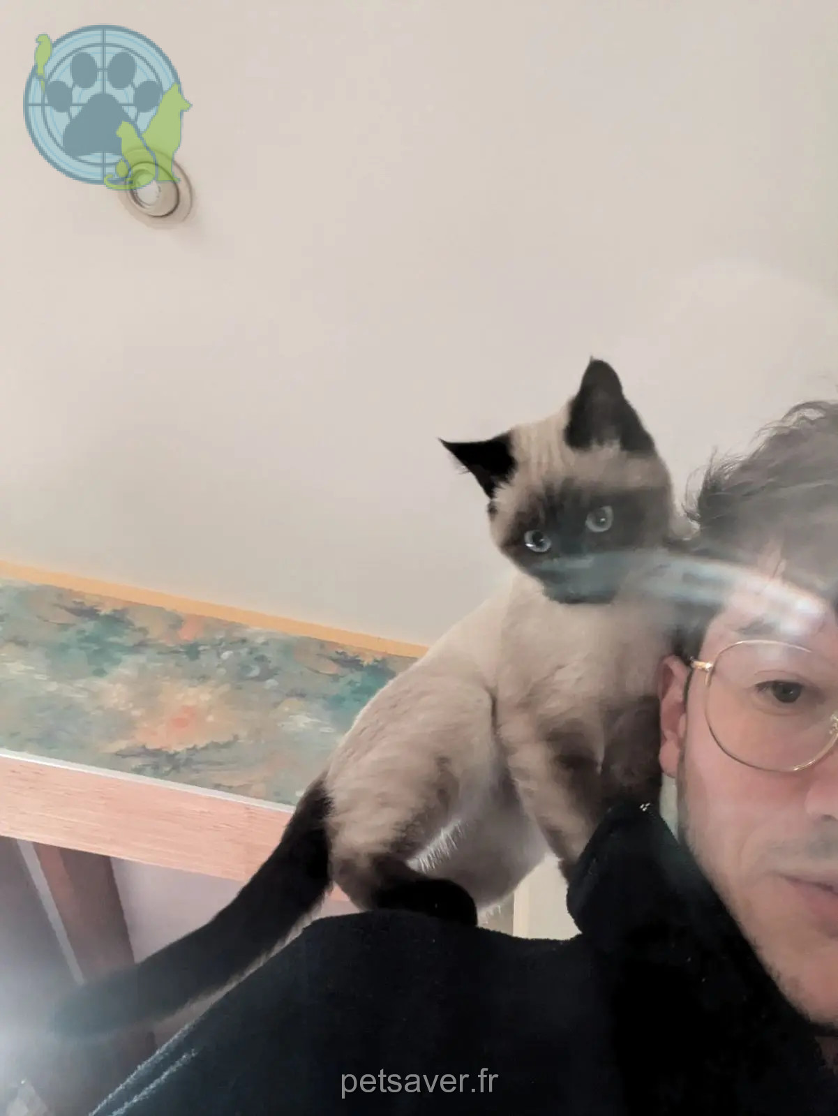 Chatte Perdue 31 Haute-Garonne - Vanille Chatte Perdue 31 Haute-Garonne - Vanille