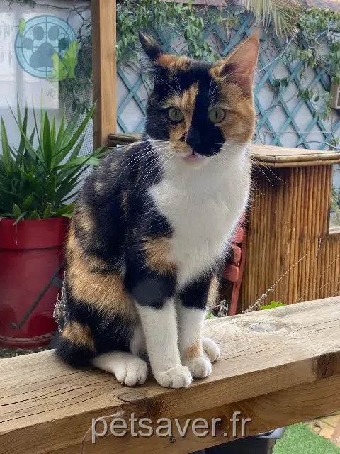 gatta reunited   32000 Auch Zita