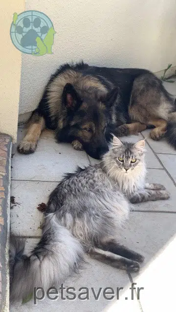 kat reunited   33450 Izon Abby