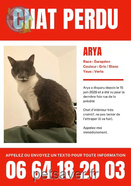 chatte reunited    Bordeaux Arya