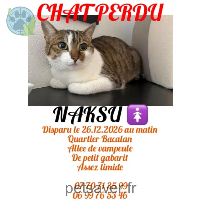 chatte reunited    Bordeaux Naksu
