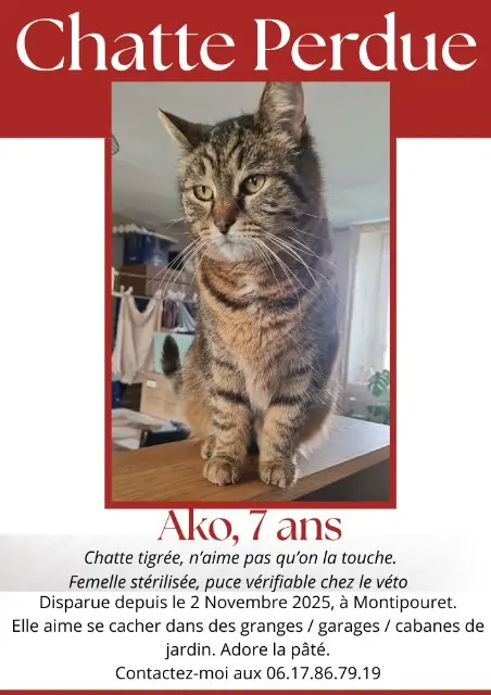 chatte reunited   36230 Montipouret Ako