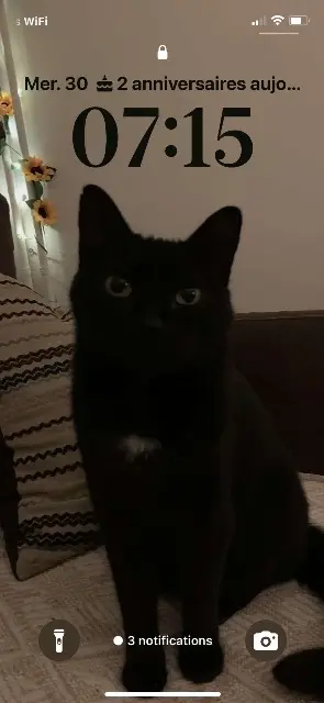 chatte reunited   40100 Dax Nala