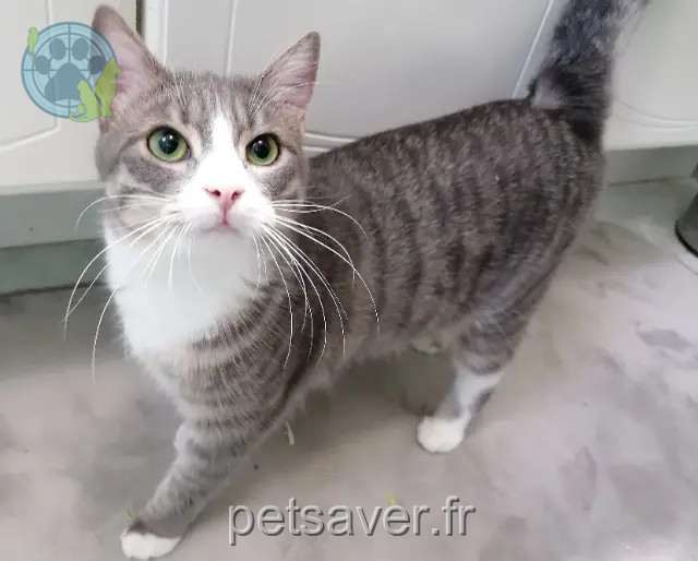 gatta reunited   41240 Beauce la Romaine Ulma