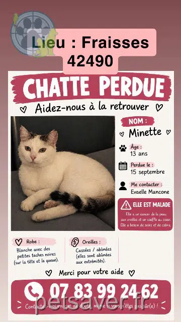 chatte reunited 42490 Fraisses Minette