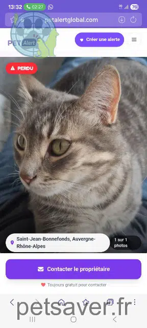 chatte reunited 42650 Saint-Jean-Bonnefonds Saya