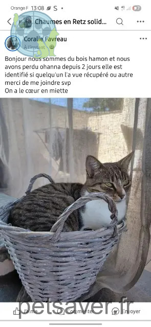 chatte reunited Chaumes-en-Retz Ohanna