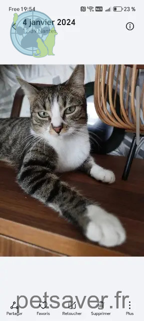 chatte reunited    Nantes Tara