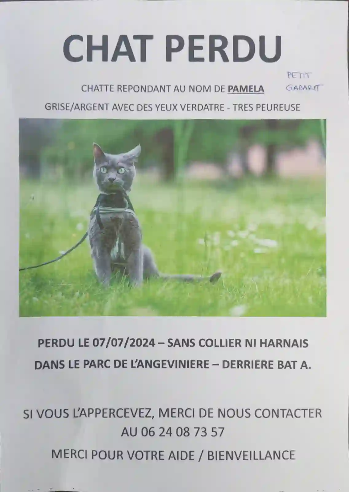 Chatte Trouvée 44 Loire-Atlantique - Pamela Chatte Trouvée 44 Loire-Atlantique - Pamela