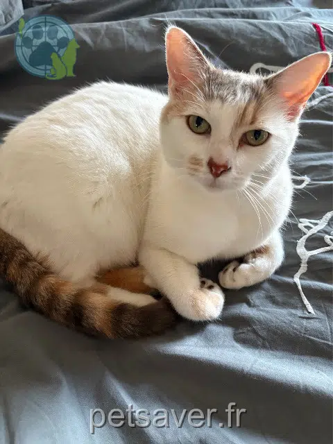 kat reunited   45000 Orléans Cannabis