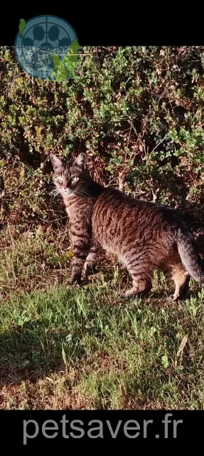 kat reunited 46300 Gourdon Cahuete