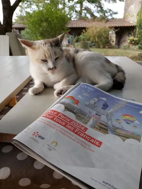 chatte reunited   47140 Saint-Sylvestre-sur-Lot NOOR