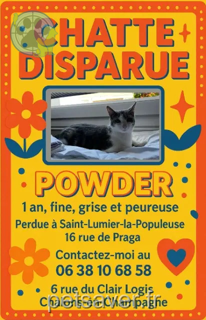chatte reunited 51340 Saint-Lumier-la-Populeuse Powder