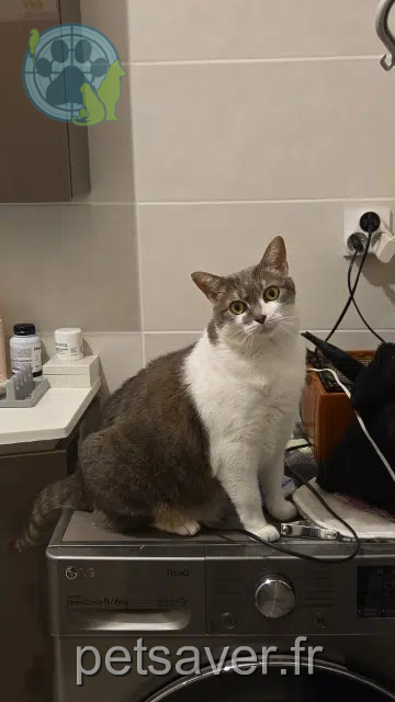chatte reunited   54100 Nancy Leia