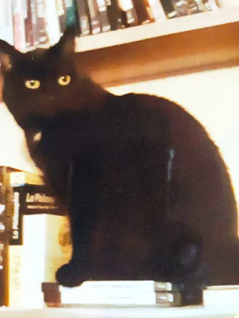 chatte reunited    Nancy VICTORIA